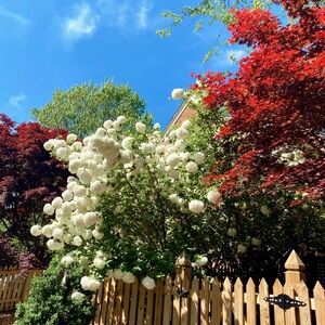 Meet your Posher, Ellie